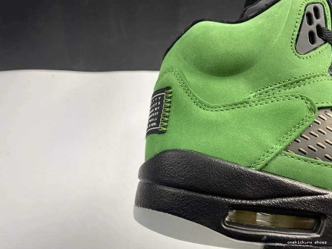 Cheap 5 CK6631-307 Air Ducks Oregon SE Jordan 0809